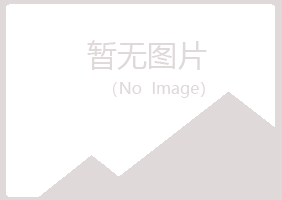 沁阳山柳会计有限公司